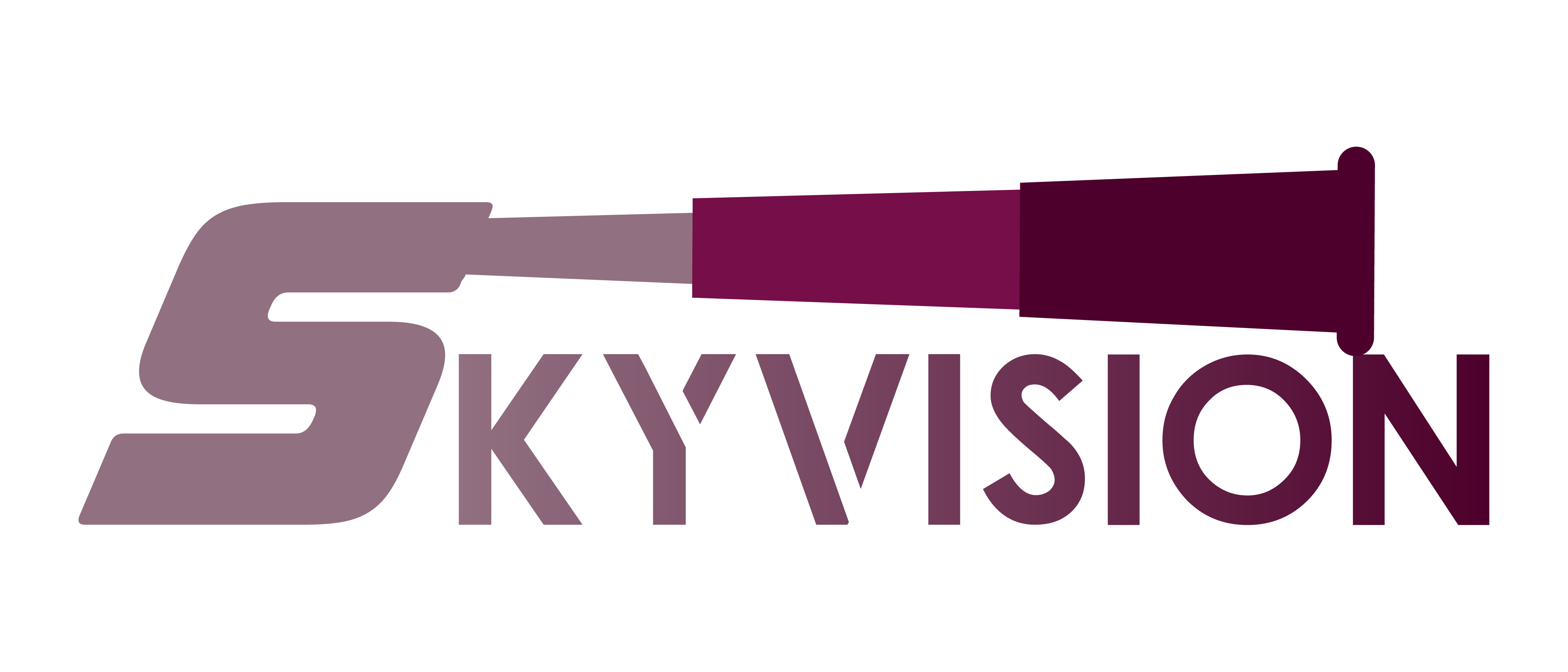 Consultoria Skyvision